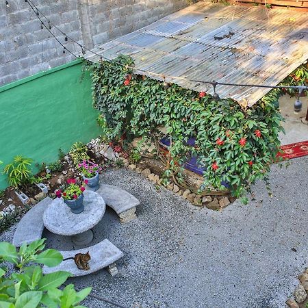 Mangifera Hostel Grecia Zewnętrze zdjęcie