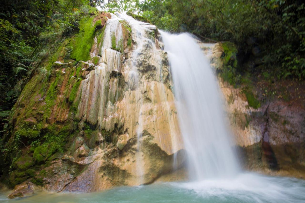 Mangifera Hostel Grecia Zewnętrze zdjęcie