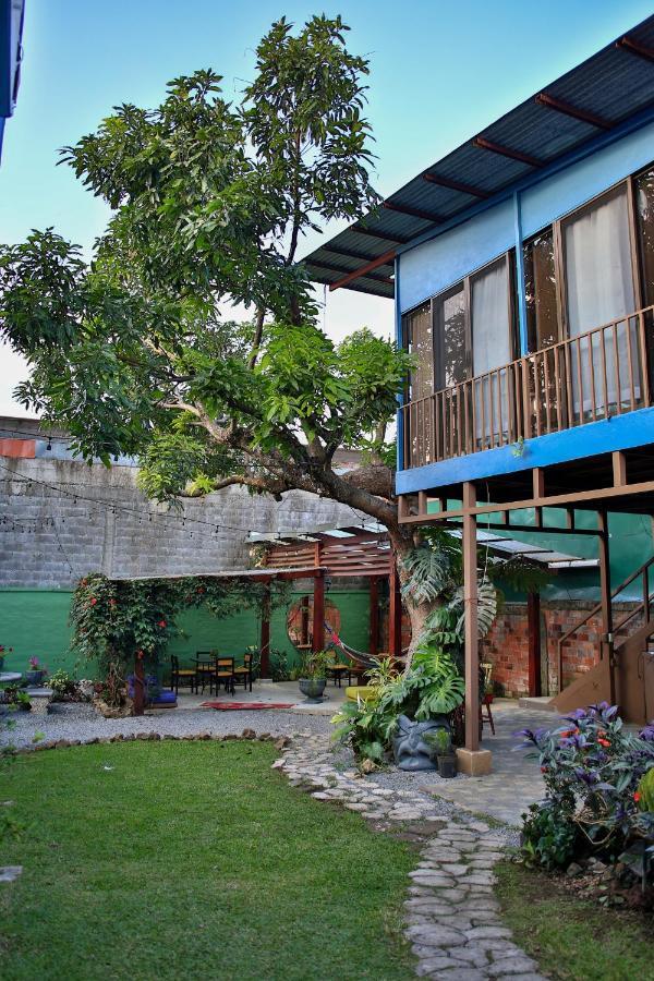 Mangifera Hostel Grecia Zewnętrze zdjęcie