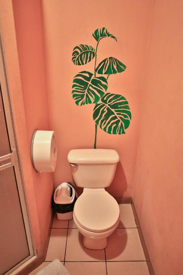 Mangifera Hostel Grecia Zewnętrze zdjęcie